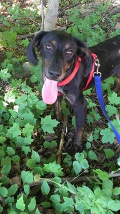 13619889_851471578330713_6105355572111831712_n (1)