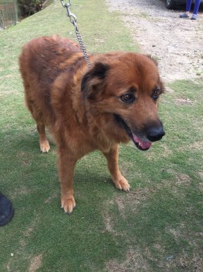 67701014_10157136645875520_1762640297512140800_o