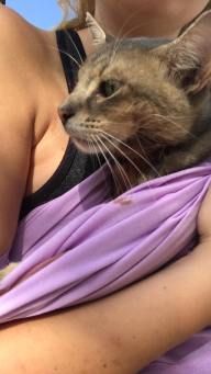 67802945_10157136633100520_5133353472049020928_o