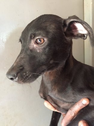 67972872_10157160049270520_470085068195364864_o