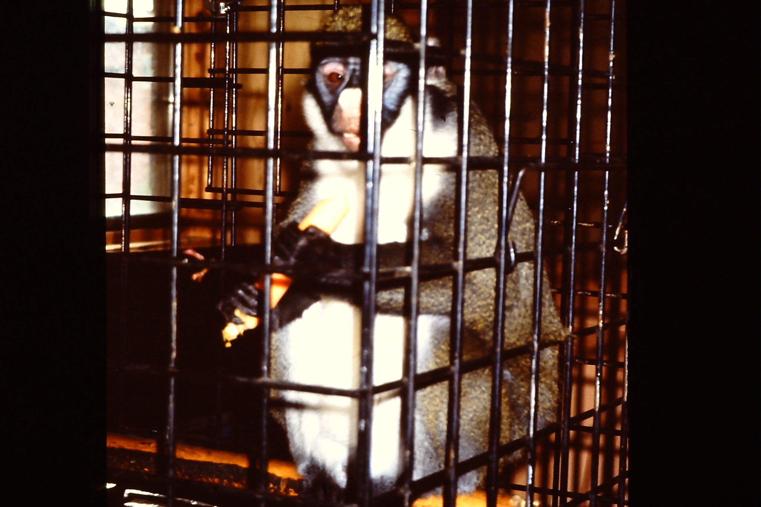 My beautiful picture