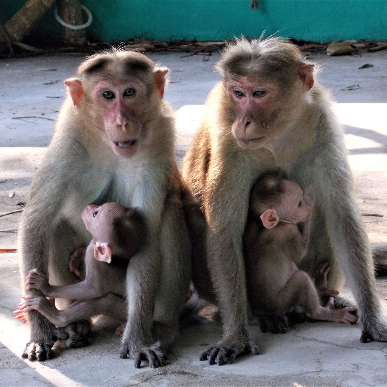 73399761_1535705703237693_7767853748189134848_o