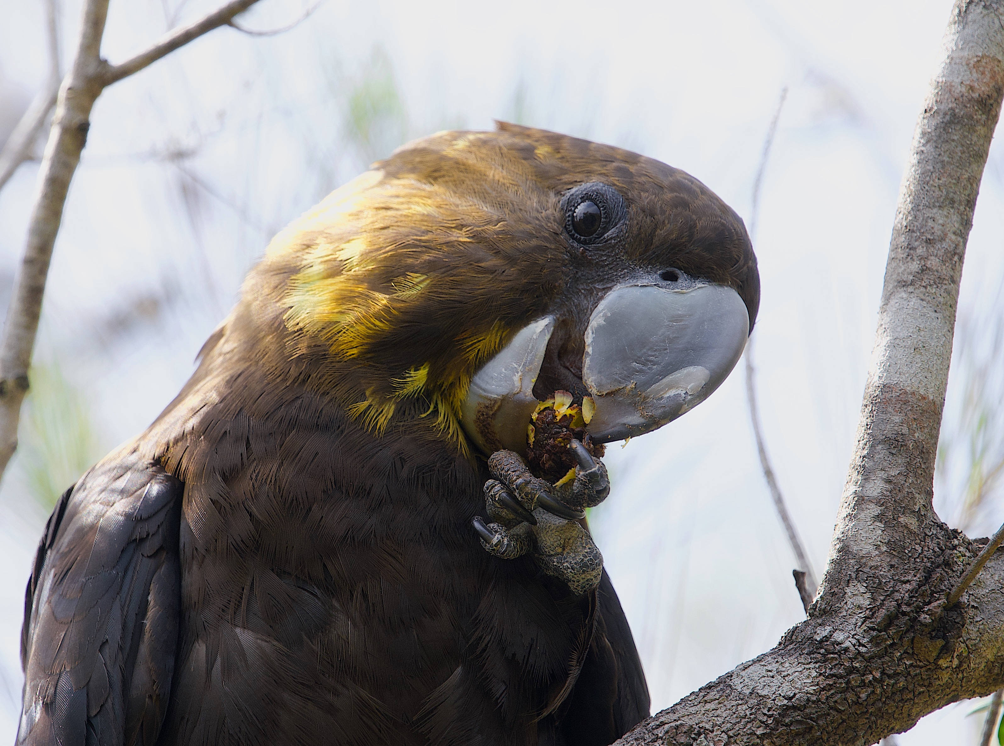 Episode 46: Kindness Is Saving Glossies – Anitha Rao-Robinson