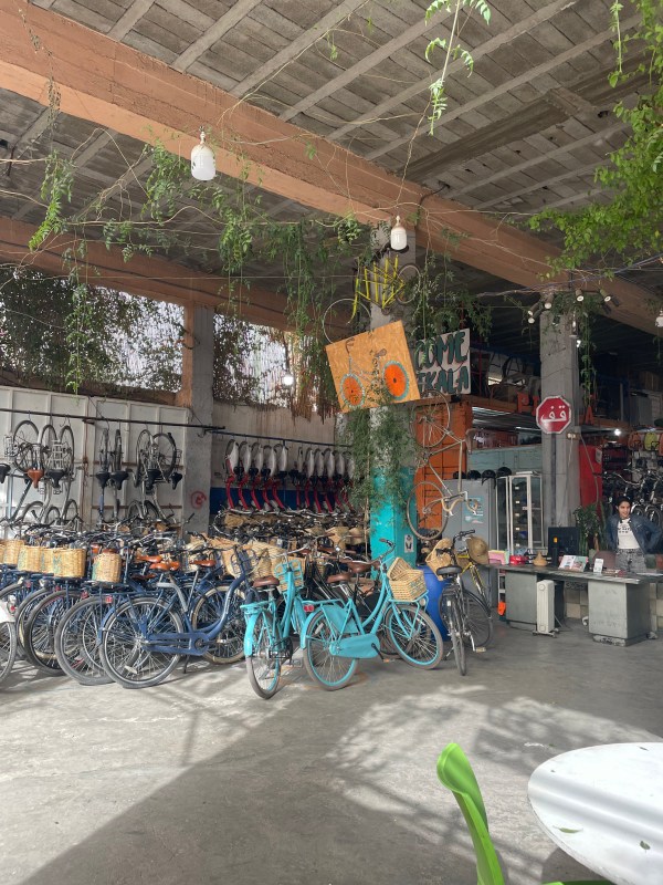 Episode 118: Kindness Is Pikala Bikes & More – Anitha Rao-Robinson