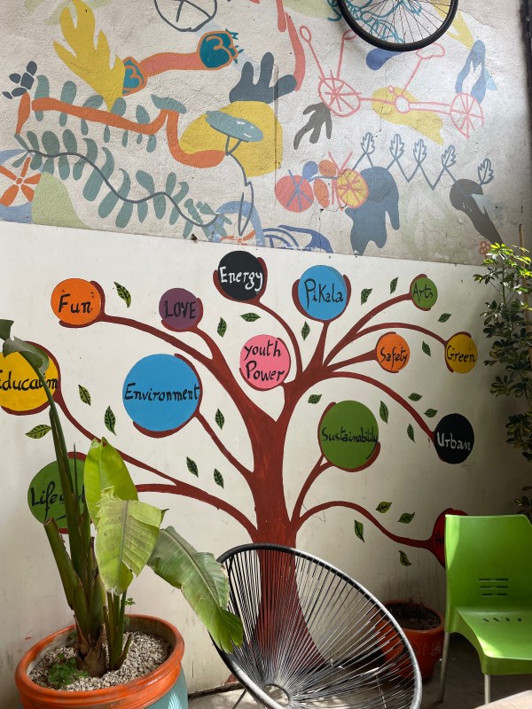 Episode 118: Kindness Is Pikala Bikes & More – Anitha Rao-Robinson